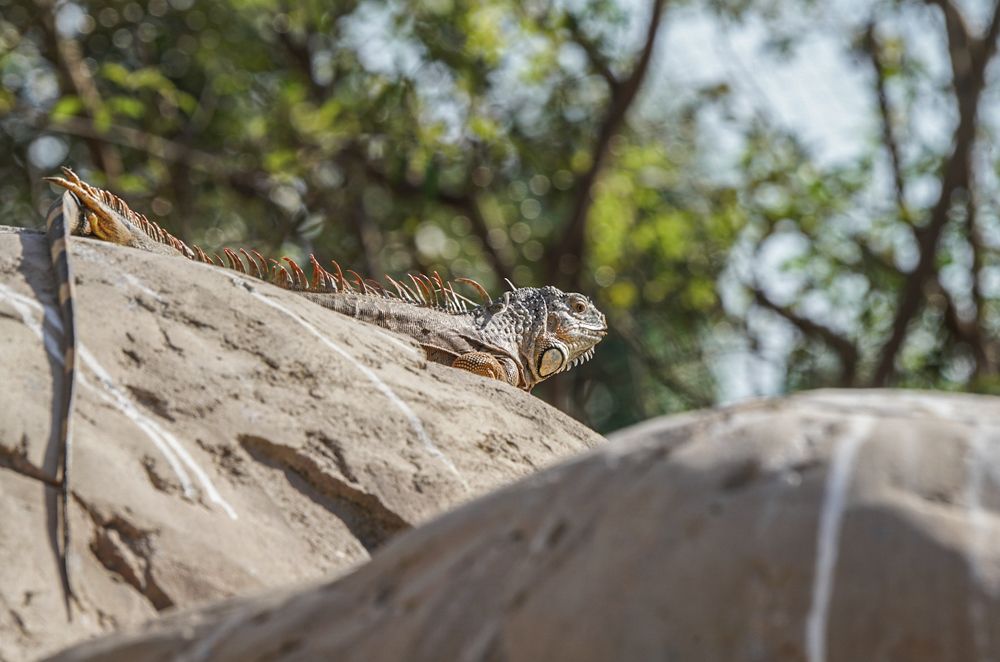 Photograph by Владимир Орлов