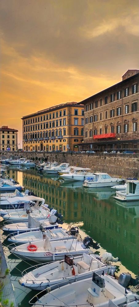 Photograph by Елена Егорова