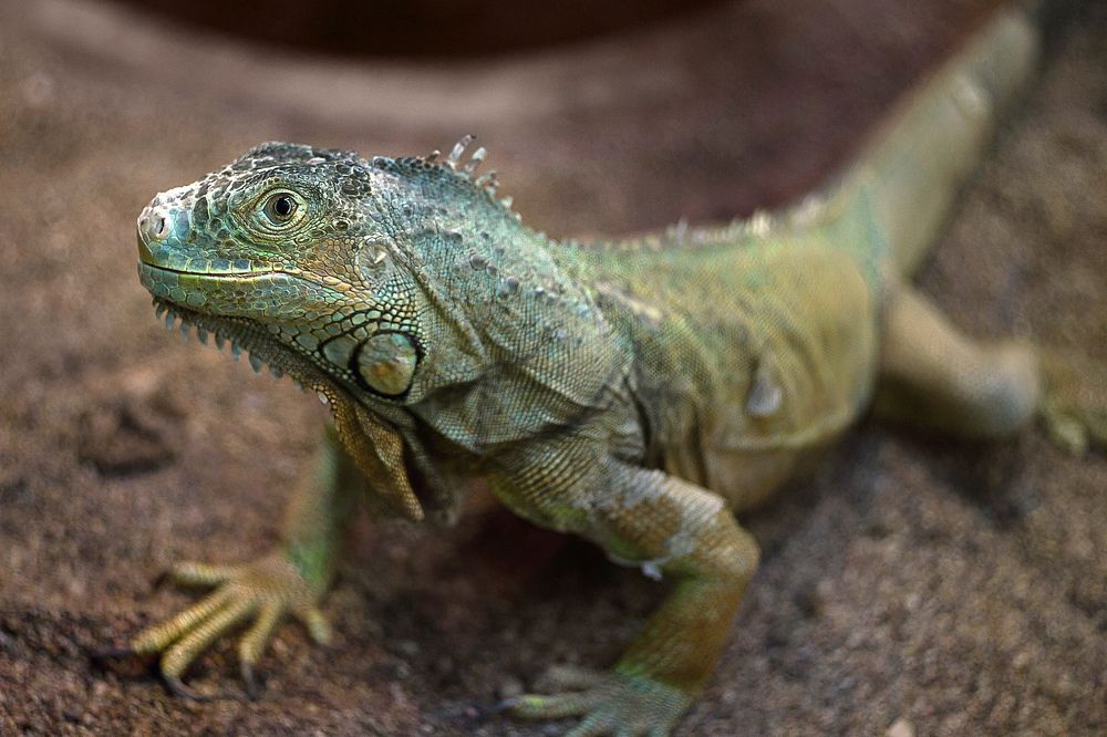 Photograph by Полина Хрол