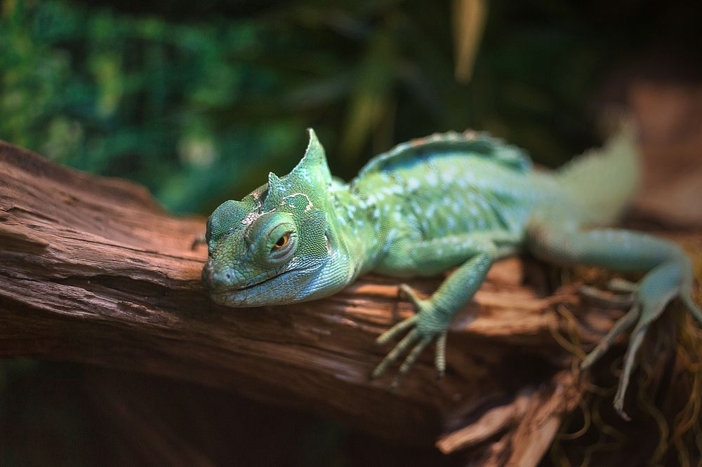 Photograph by Полина Хрол