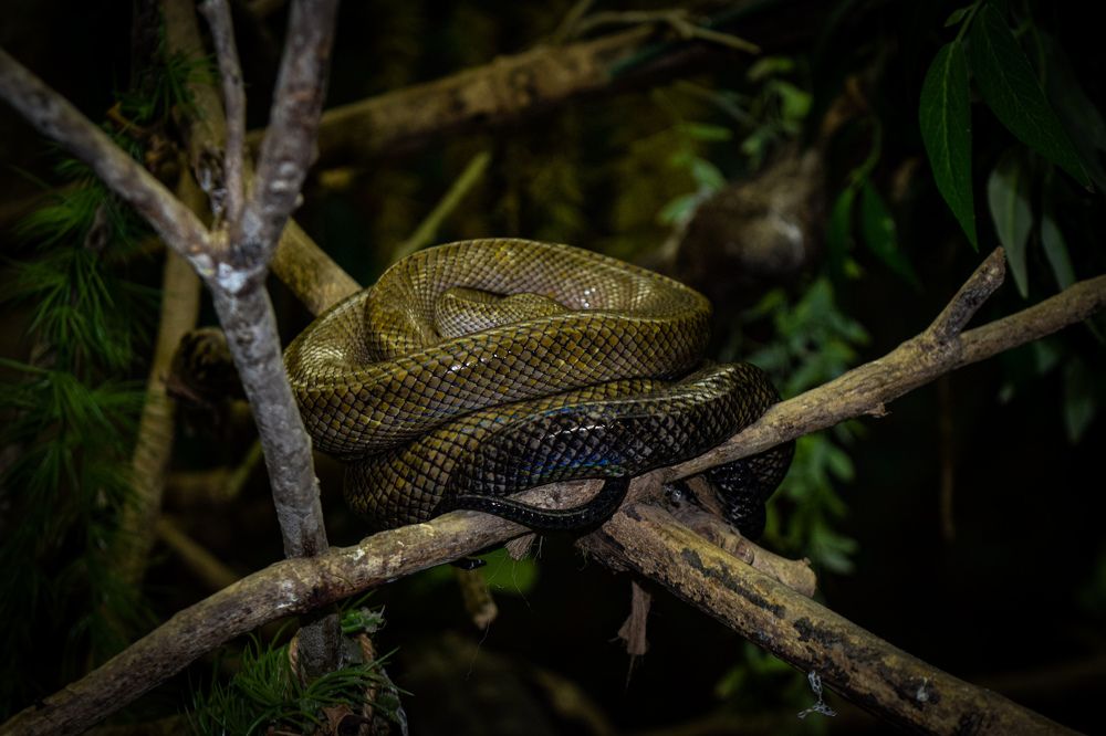 Photograph by Anuja Singh