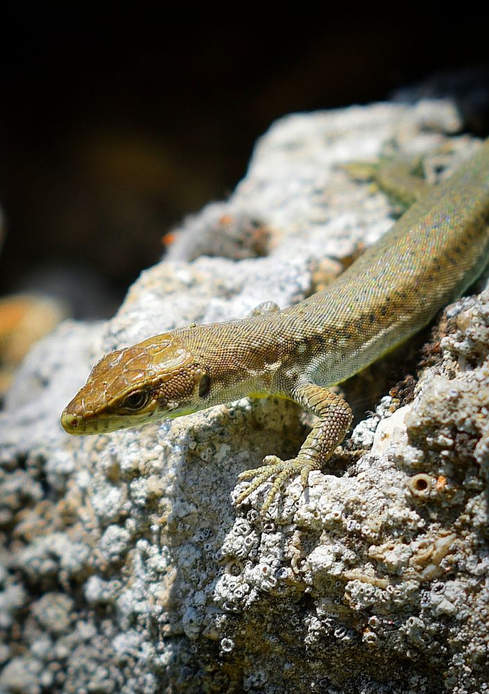 Photograph by Екатерина Гордеева