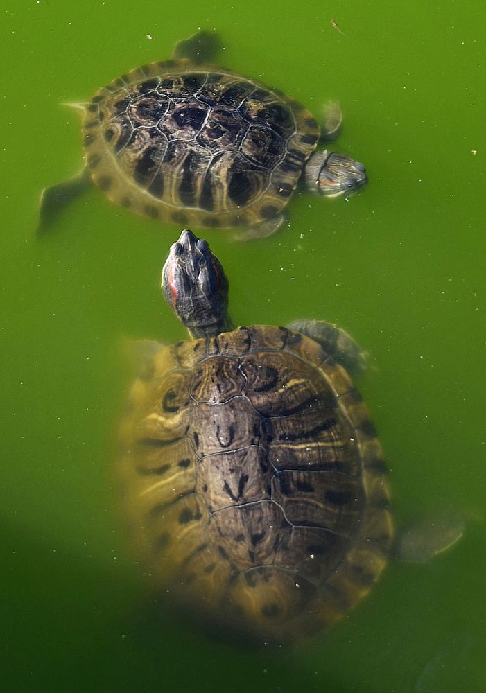 Photograph by Екатерина Гордеева