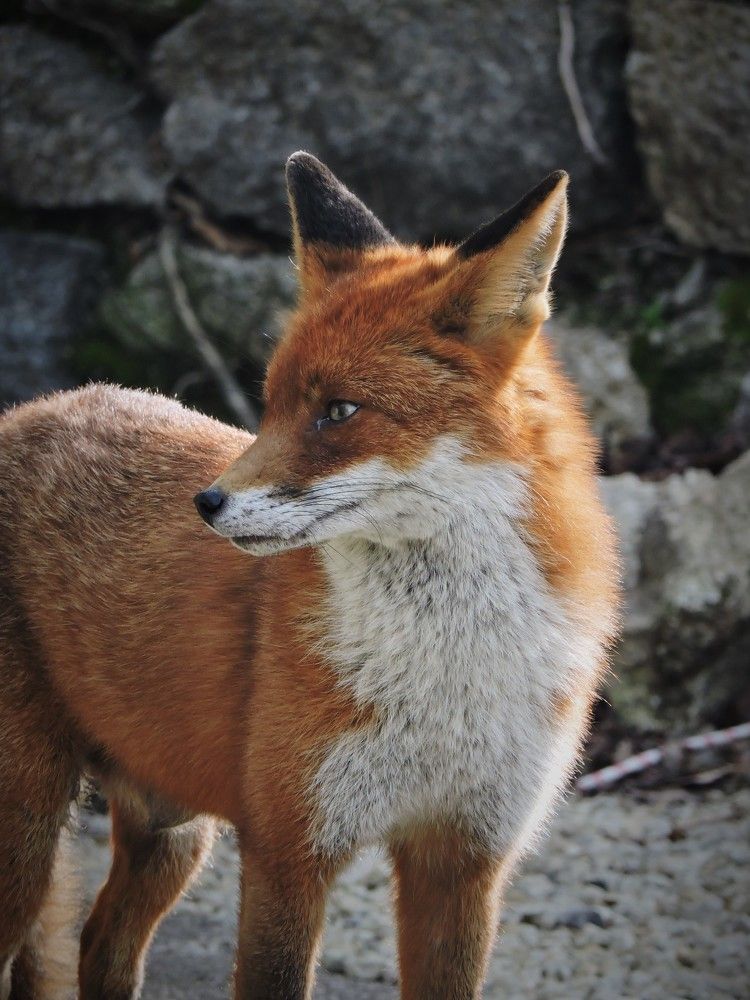 Photo #9265148