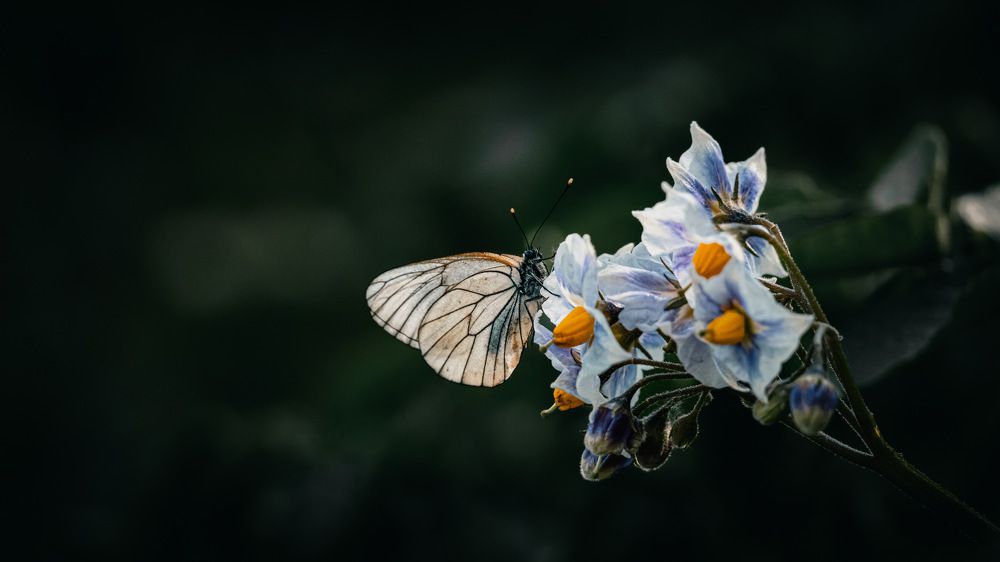 Photograph by Антон Дроздов