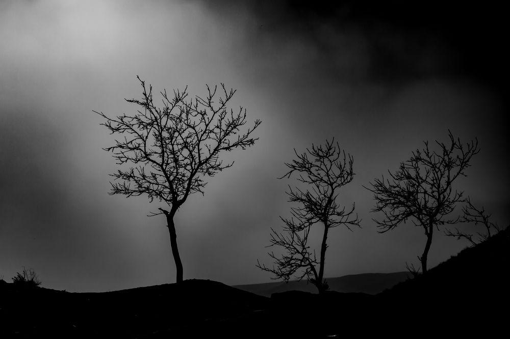 Photograph by seyed mostafa yousefi