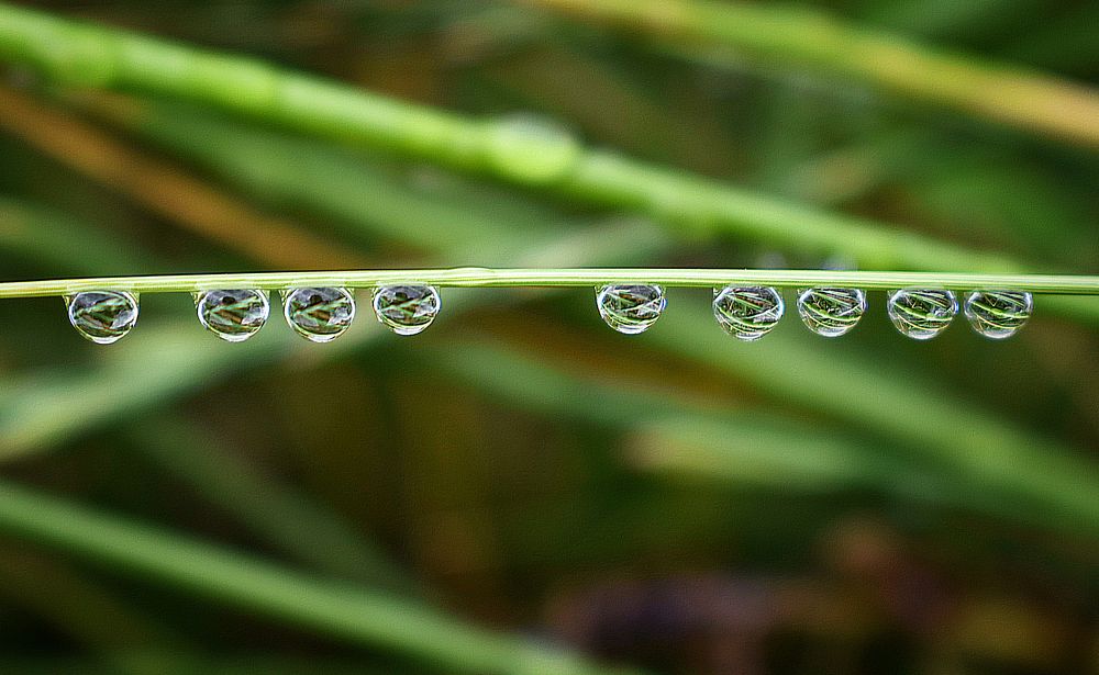 Photograph by Екатерина Гордеева