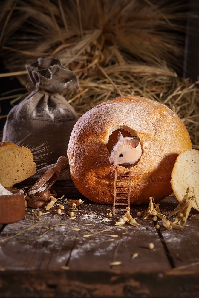 Photograph by Ирина Подгорная