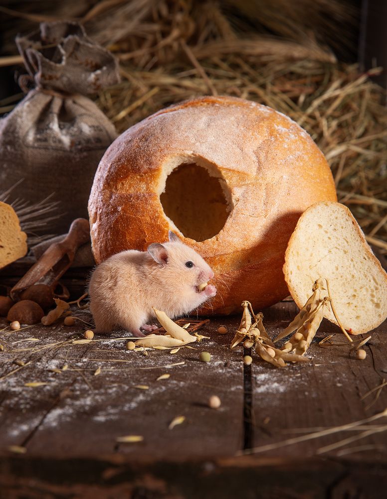 Photograph by Ирина Подгорная