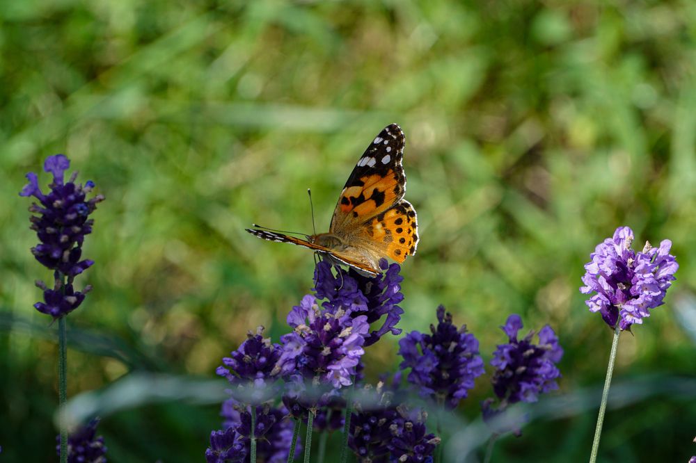 Photograph by George Catalin Serbu