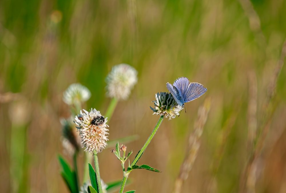 Photograph by Алексей