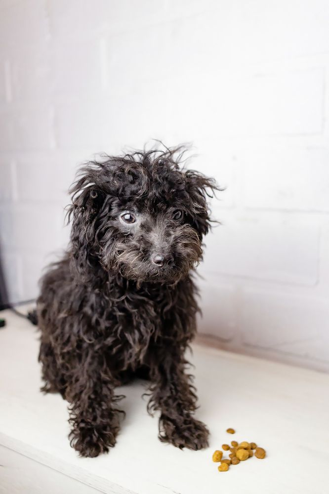 Photograph by Ольга Богданова