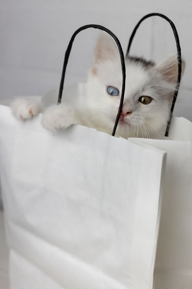 Photograph by Ольга Богданова