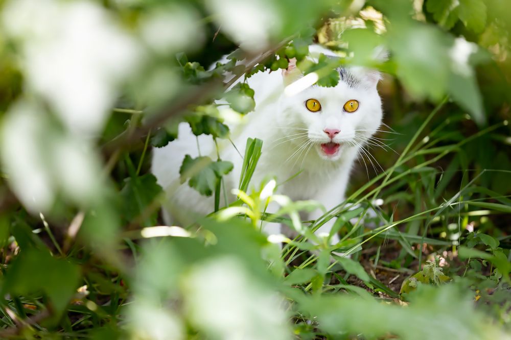 Photograph by Ольга Богданова