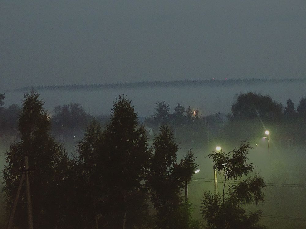 Photograph by Софья Толкачёва