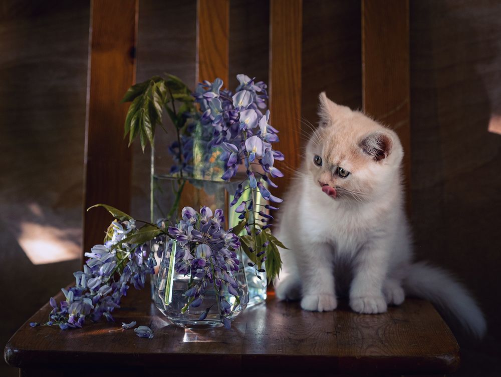 Photograph by Galina Samoylovich