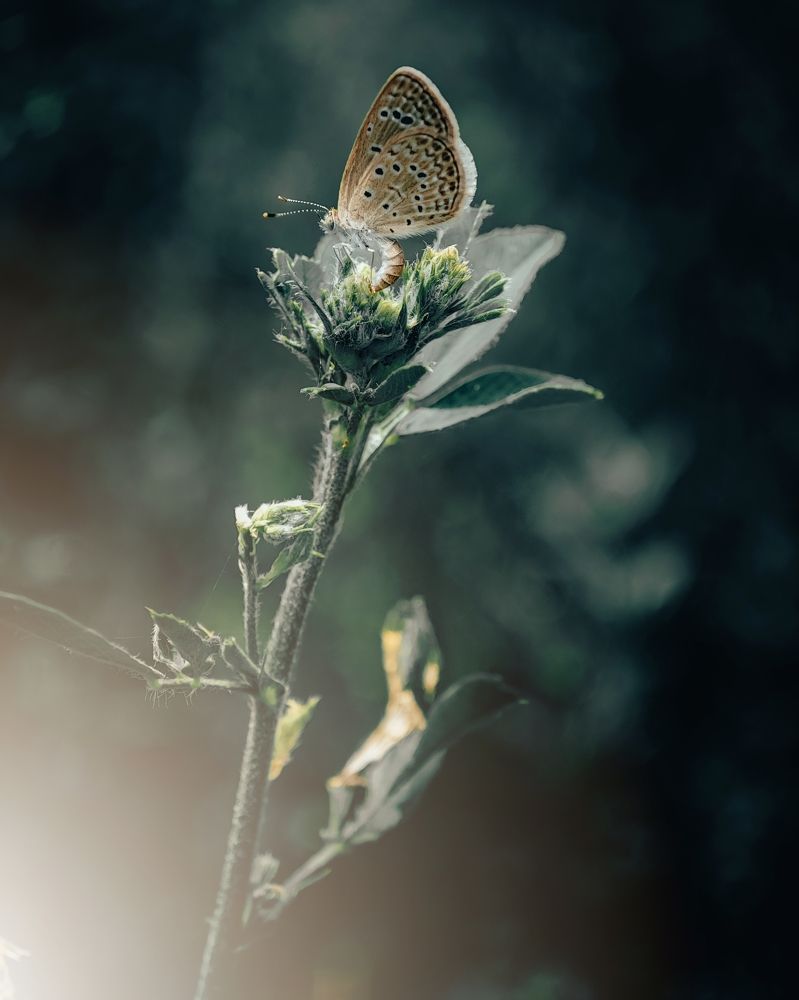 Photograph by Asjad Mehmood