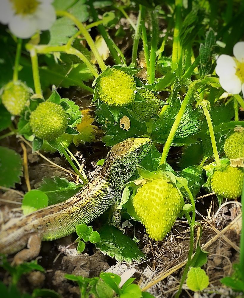 Photograph by Ольга Мартьянова