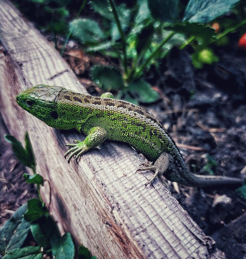 Photograph by Ольга Мартьянова