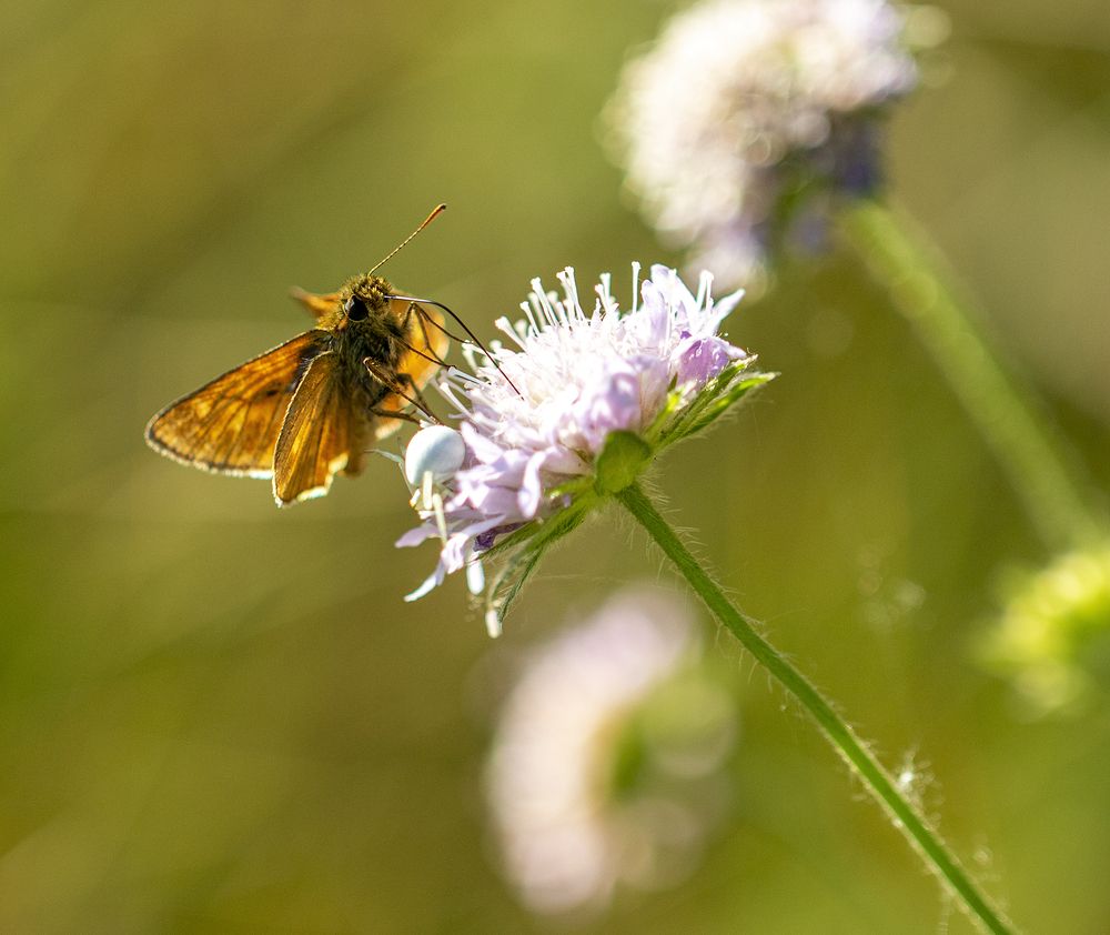 Photograph by Виталий Девяткин