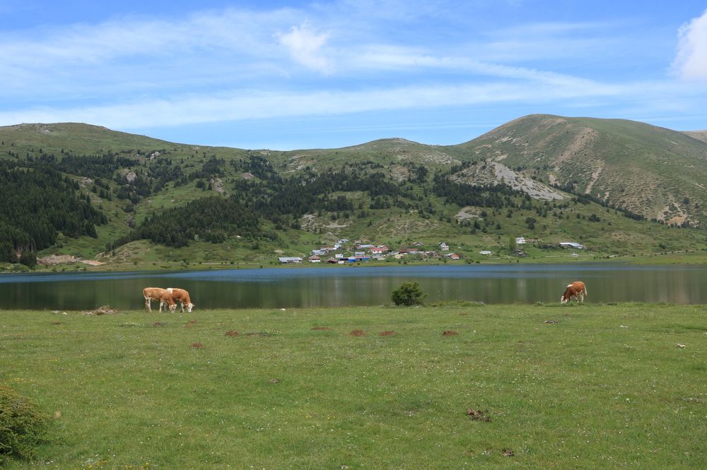 Photograph by Cengiz Yalcin