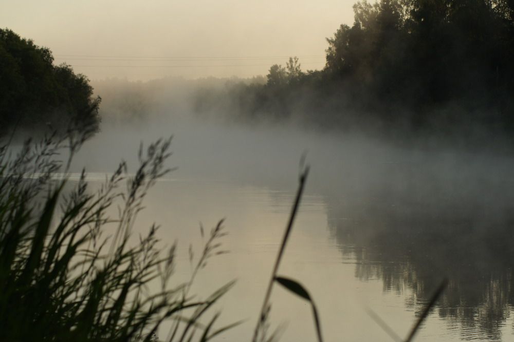 Photograph by Людмила Щепилова