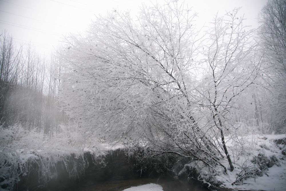 Фотография автора Войнов Дмитрий