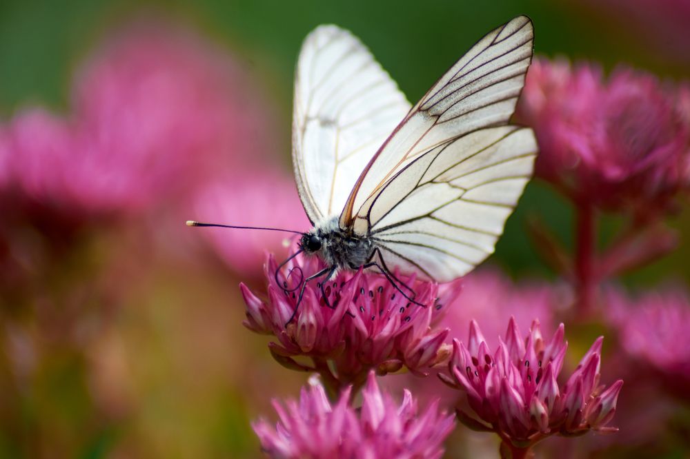Photograph by Андрей Мольков