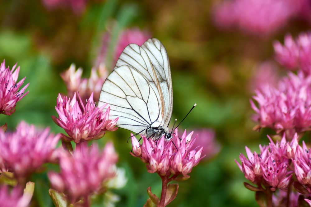 Photograph by Андрей Мольков
