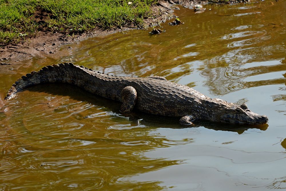 Photograph by Vitaliy