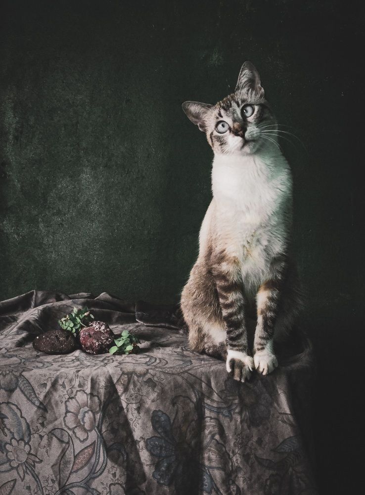 Photograph by Fernanda Ximenes