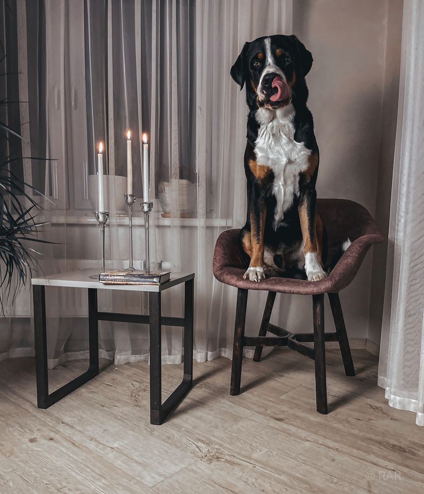 Photograph by Руслана Радкевич