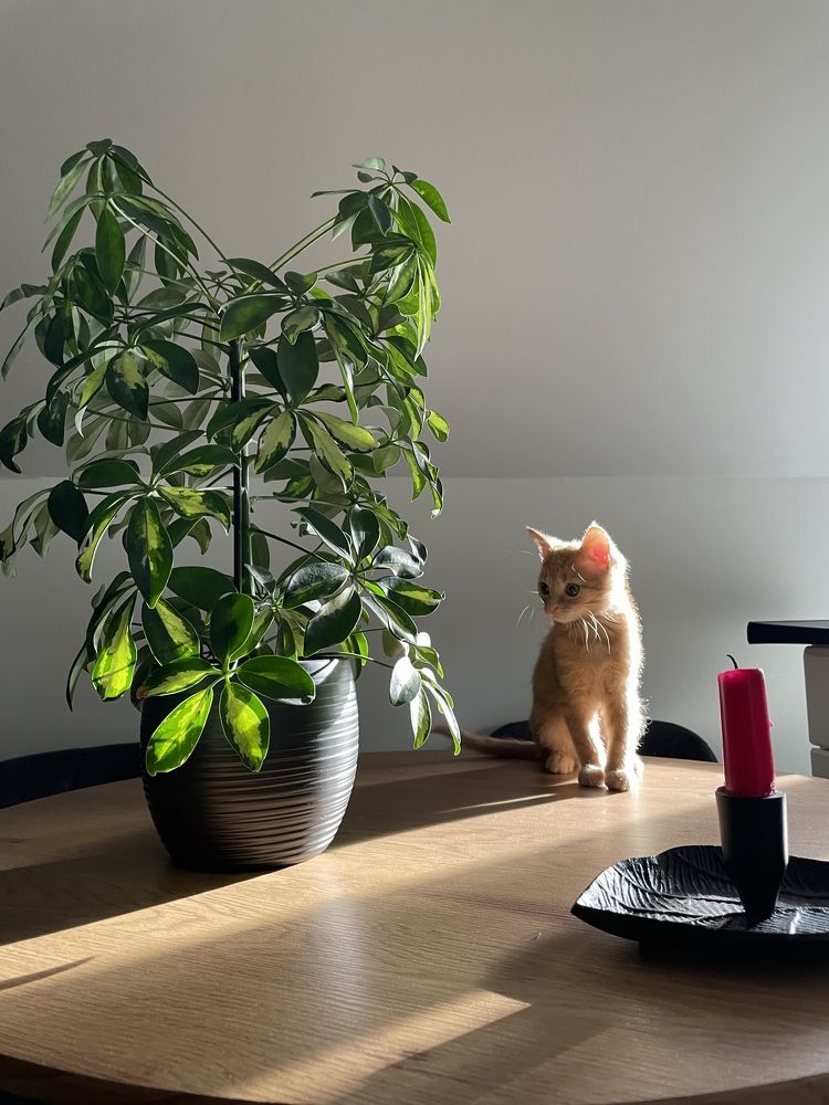 Photograph by Nataliia Kozik