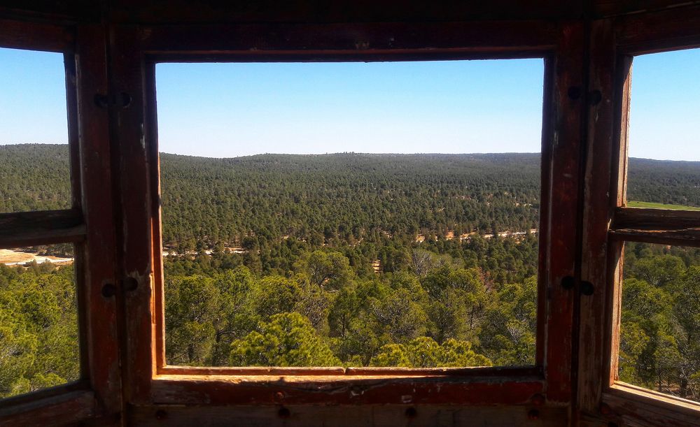 Photograph by Bachir Rabouh