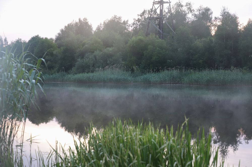 Photograph by Юлия Яковлева