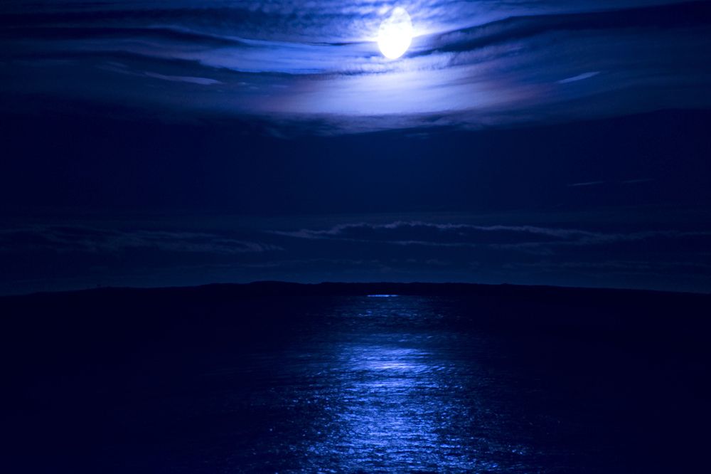 Photograph by Gabriel Cabott