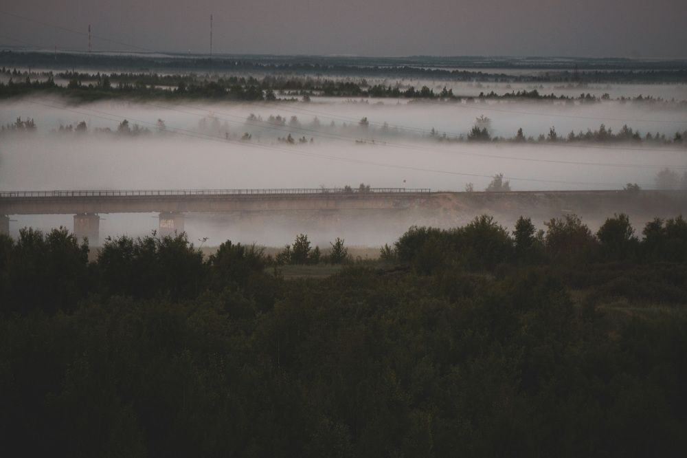 Photograph by Алина Шорина