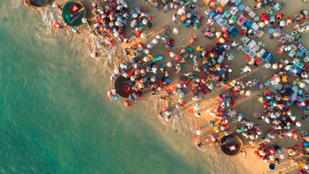 Фотография автора DAO CANH