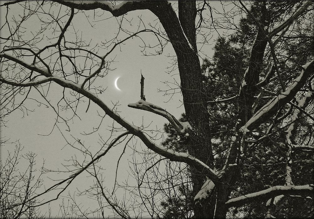 Photograph by Ирина Архипова