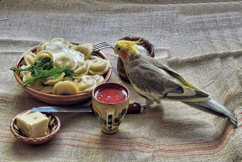 Photograph by Савоцкий Роман