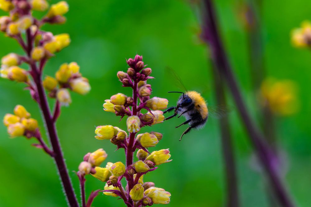 Photograph by Андрей Серга