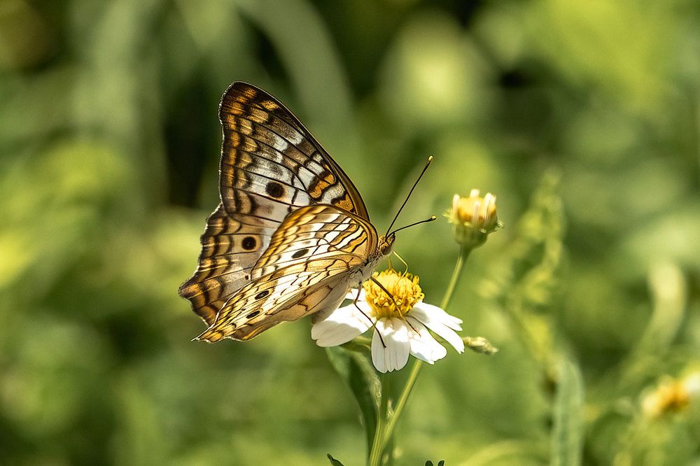 Фотография автора Erik Nelson