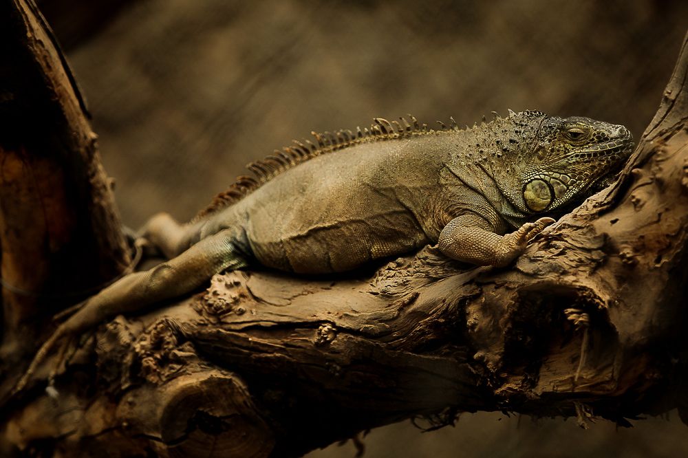 Photograph by Anatoliy Buyanov