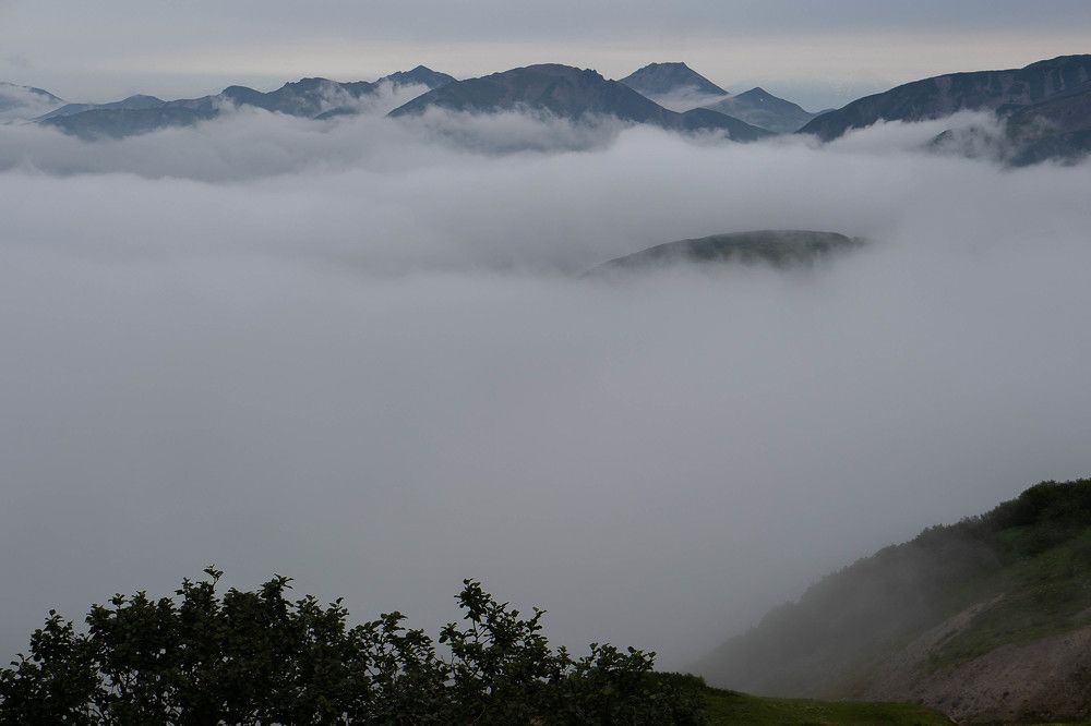 Photograph by Ирина Корнева