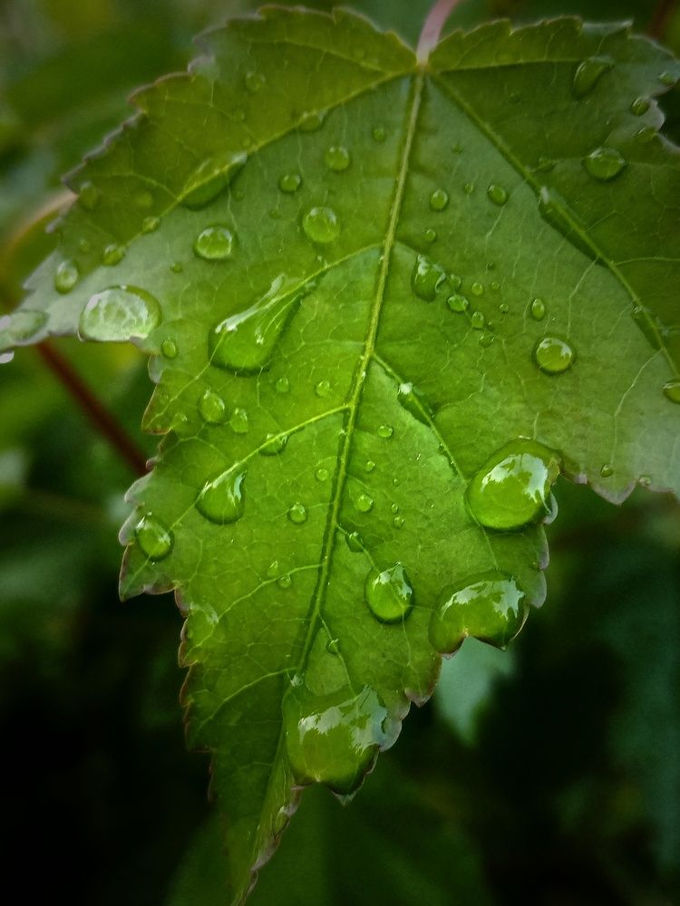 Photograph by Владимир Сушкин