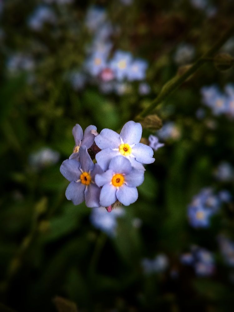 Photograph by Владимир Сушкин