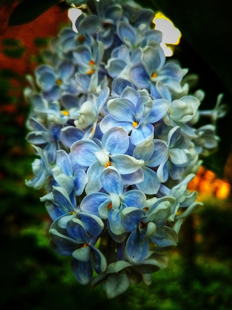 Photograph by Владимир Сушкин