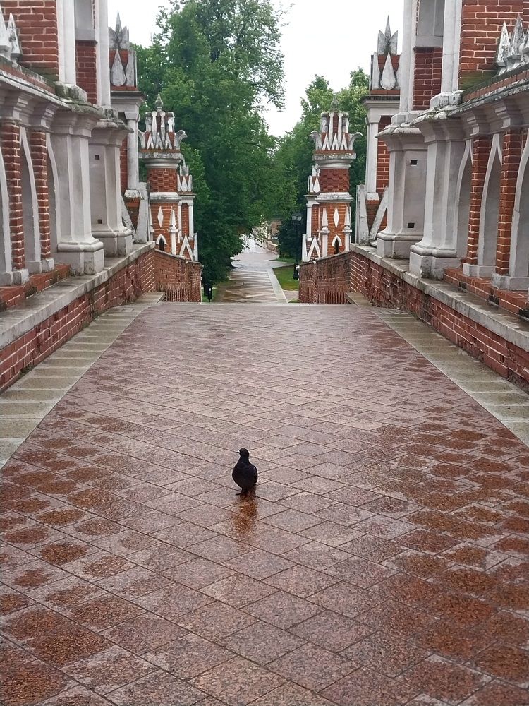 Photograph by Анна Авилочкина