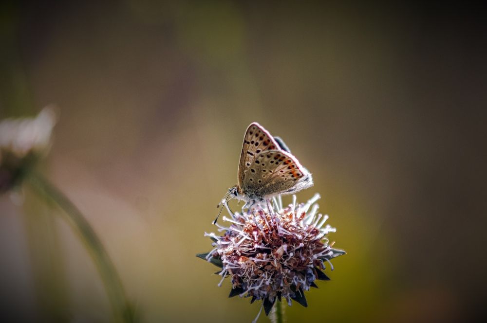 Photograph by Юлия