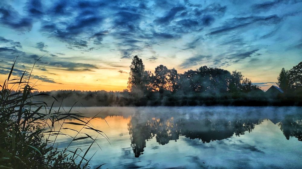 Золотое утро.